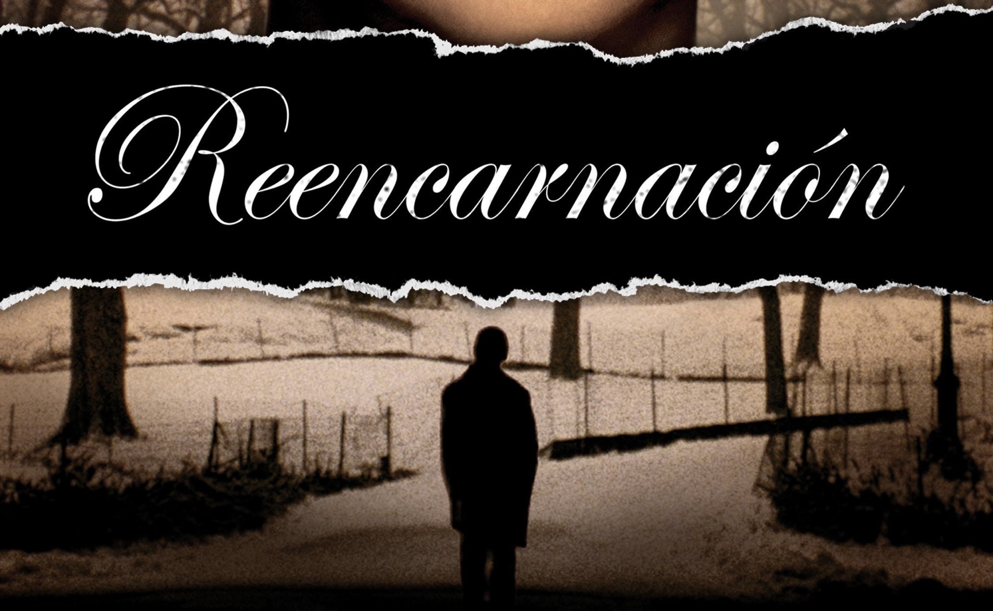 Reseña: Reencarnación (2004)